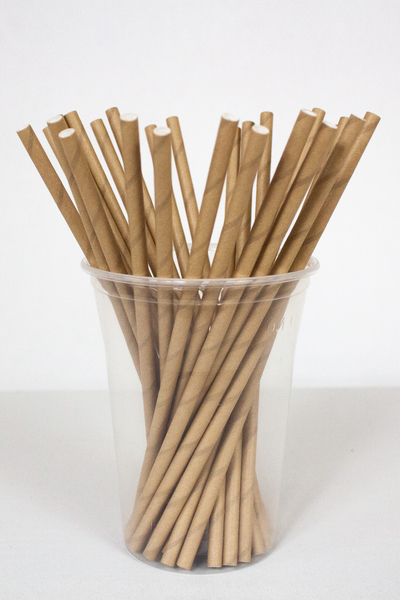 Dolphin Kağıt Pipet Natürel 22cm 25li - 1