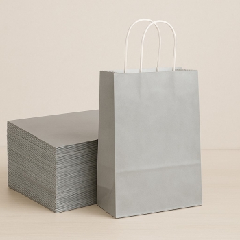 Roll-Up Kraft Çanta Gümüş Küçük Boy 18 * 24 cm 25 Adet